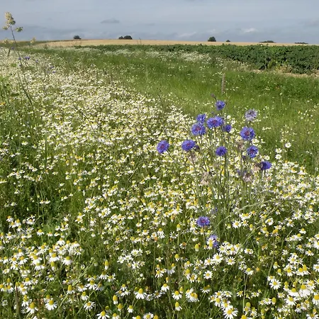Sunny Garden Cottage, Alle Ferienhaus Frahan